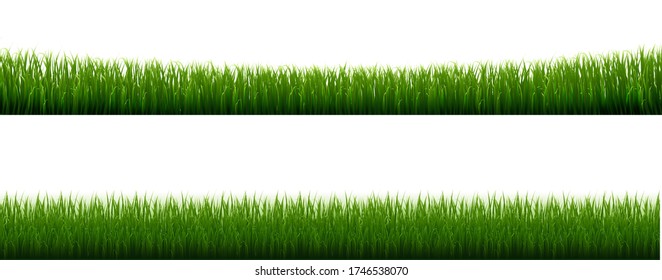 Grasgrasgrundierung transparenter Hintergrund, Vector Illustration