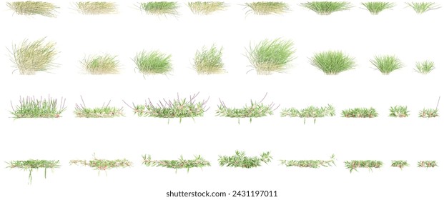 Collection of grass and bush with alpha mask, 3d rendering, for digital composition and architecture visualization