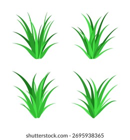 Collection of grass illustration variations