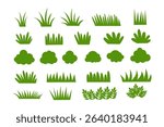 Collection of grass. grass tree set isolated on white background. vector illustration.