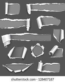 Collection of gray torn paper. Vector