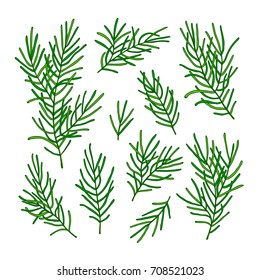Collection green branches of a Christmas tree isolated on white background. Vector illustration