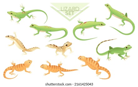 Collection of Green and brown small lizard cartoon animal design vector illustration