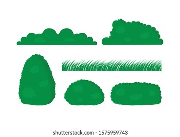 Collection of green bushes and grass on white background, Green plants, Nature vector illustration.