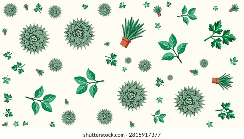 Collection of green cactus and succulent plants with leaves and stems in various shapes for botanical illustrations, gardening design, or nature themes