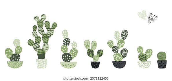 Collection of green cactuses in pots on white background.