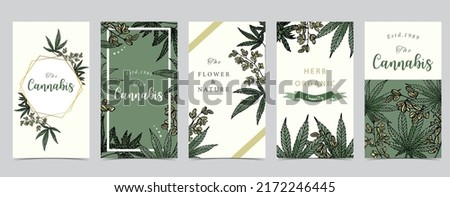 Collection of green cannabis background