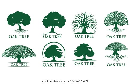 Collection green Creative Oak Tree Logo Design Symbol Illustration