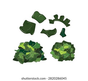 Collection of green Edible seaweed