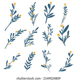 collection of green forest natural leaves herbs set  