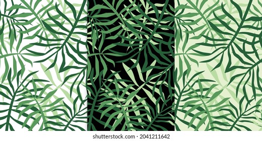 Collection of green fren leaves in tropical summer isolated vector illustration art