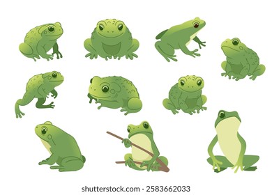 Collection of green frogs in various poses. Cartoon animal design, cute amphibian. Great for nature illustrations, wildlife designs, or educational visuals. Vector illustration isolated on white