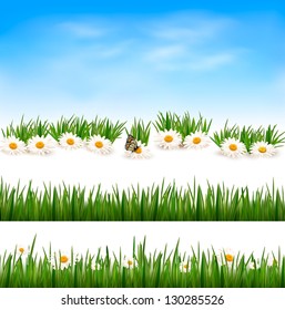 Collection of green grass backgrounds. Vector illustration.