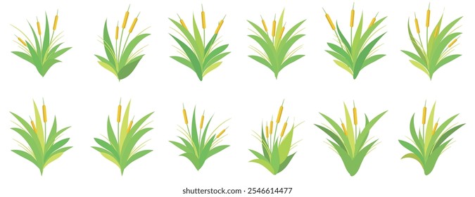 A collection of green grass and reed plant illustrations, showcasing natural and organic elements. Perfect for eco-friendly, landscaping, and nature-themed designs.