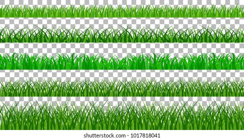Collection Green Grass spring There are many form isolated on transparent background, Vector Illustration