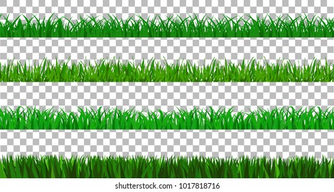 Collection Green Grass spring There are many form isolated on transparent background, Vector Illustration