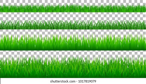 Collection Green Grass spring There are many form isolated on transparent background, Vector Illustration