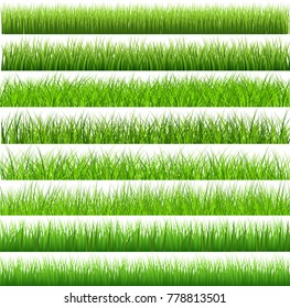 Collection Green Grass There are many form isolated on white background, Vector Illustration