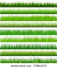 Collection Green Grass There are many form isolated on white background, Vector Illustration