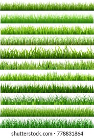 Collection Green Grass There are many form isolated on white background, Vector Illustration