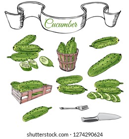 Collection of  green  hand drawn cucumbers, box and basket. Ink and colored sketch.Whole and sliced elements isolated on white background. Vector illustration.