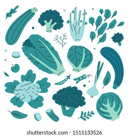 Collection of green hand drawn fresh tasty vegetables isolated on white background. Bundle of delicious vegetarian products, wholesome healthy diet  food. Flat cartoon doodle vector illustration.