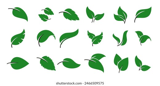 colección de iconos de hojas verdes. ilustración de diseño de hojas sobre fondo aislado.  Diseño de bioelementos naturales, respetuosos con el medio ambiente y de reciclaje