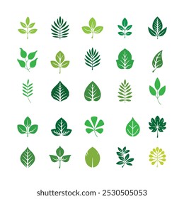 Colección de iconos de hojas verdes conjunto Vector 