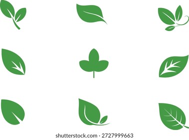 Sammlung von grünen Blatt auf weißem Hintergrund Natur