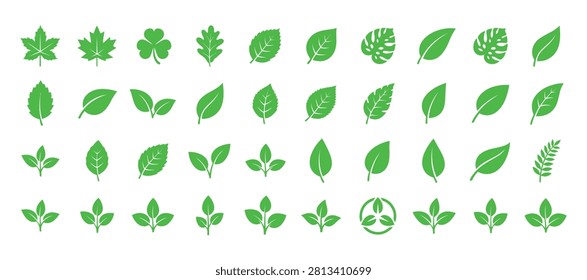 Collection Of Green Leaf Shapes A Flat Vector Illustration With Varied Vein Patterns
