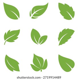Colección de la hoja verde con detalles simples de la vena Una planta de la naturaleza del fondo blanco