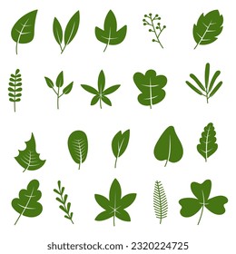 colección de ilustraciones vectoriales de hoja verde, iconos de hoja natural en conjunto de fondo blanco