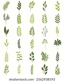 Collection Of Green Leaf Vector Illustration Design