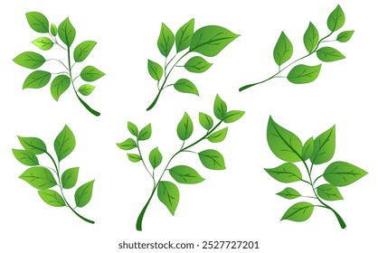 A collection of green leaves arranged in different positions. The graphic style is vibrant and flat. The background is plain white. Vector illustration