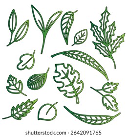 Collection of green leaves and botanical elements