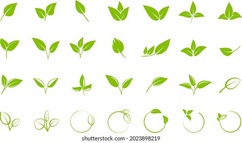 collection of green leaves, design elements for logos or symbols, vector illustration icon set