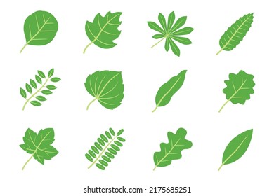 Collection of green leaves flat icon vector, nature concept vector illustration isolated on white background.