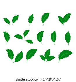 collection with green leaves in flat style for icons and graphic design
