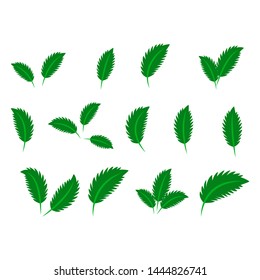 collection with green leaves in flat style for icons and graphic design