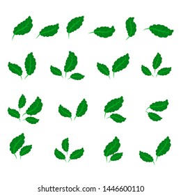collection with green leaves in flat style for icons and graphic design