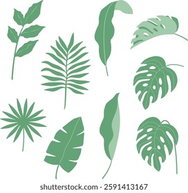 collection of green leaves, illustration vector