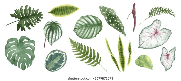 Collection of green leaves, including ferns and tropical varieties. Various shapes and sizes of leaves, showcasing nature's diversity and beauty in foliage. Nature illustrations, element vector set.