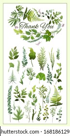 collection of Green leaves isolated on white background. Vector illustration.