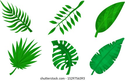 Collection Of Green Leaves And Twigs Of Different Plants Vector Illustration
