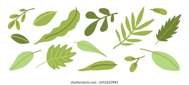 A collection of green leaves in various shapes and shades, illustrated in a flat design style, ideal for botanical and eco-themed projects.