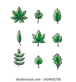 A collection of green leaves vector