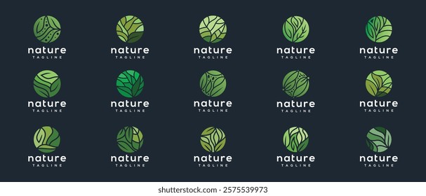 Collection of green nature leaf logo designs. Nature leaf logo template. Nature logo symbol icon