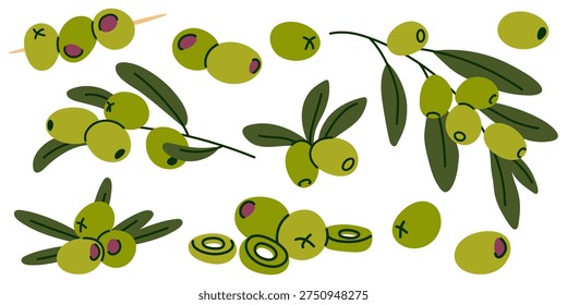 Collection of Green Olive vector Elements, branches, slices and olive skewers