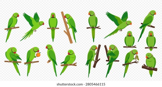 A collection of green parrots, also known as parakeets, in various poses on branches, some flying, others holding fruit.
