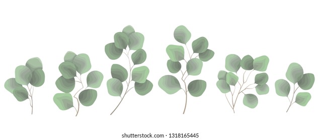 Collection of green plants. Elements for design. Vector plants.